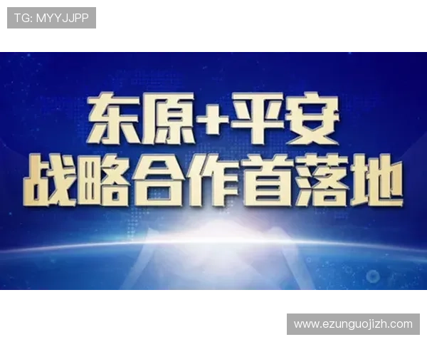 BG视讯各大平台技术保障措施，确保玩家资金与信息安全，体验无忧游戏环境